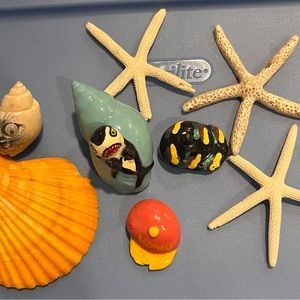 Hand painted Hermit Crab Shells, Starfish, Large Seashell